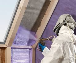 Best Blown-In Insulation  in Spring Grove, MN