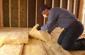 Best Insulation for New Construction  in Spring Grove, MN