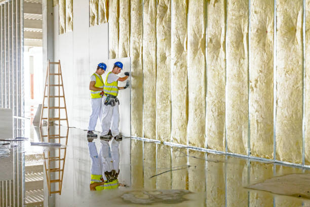 Best Eco-Friendly or Green Insulation Solutions  in Spring Grove, MN